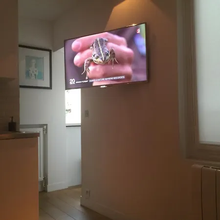 Little Luxurious Nest In Saint-germain